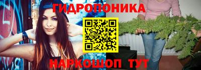 a pvp Новокубанск