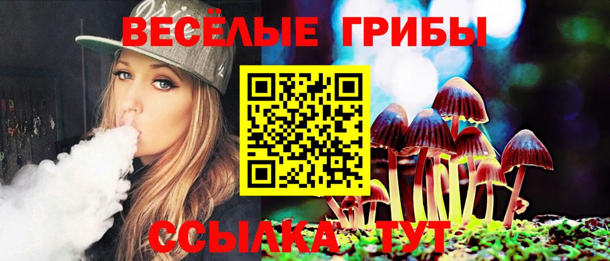 Сызрань  Галлюциногенные грибы GOLDEN TEACHER  где найти   Галлюциногенные грибы ЛСД  Вход с VPN 